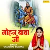 About Mohan Baba Ji Song